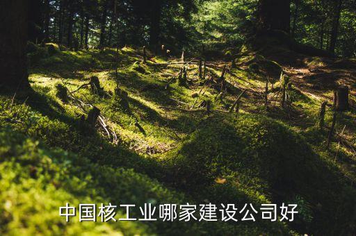 中國核工業(yè)哪家建設公司好