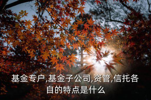基金專戶,基金子公司,資管,信托各自的特點(diǎn)是什么