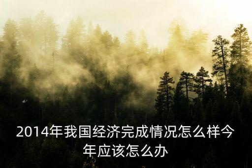 2014年我國經(jīng)濟完成情況怎么樣今年應(yīng)該怎么辦