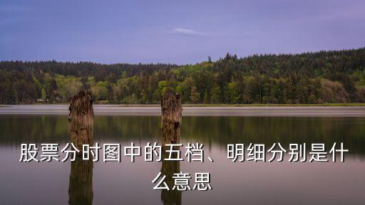  股票分時(shí)圖中的五檔、明細(xì)分別是什么意思