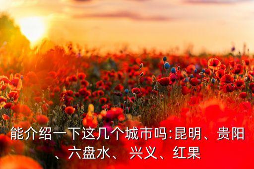 能介紹一下這幾個城市嗎:昆明、貴陽、六盤水、 興義、紅果