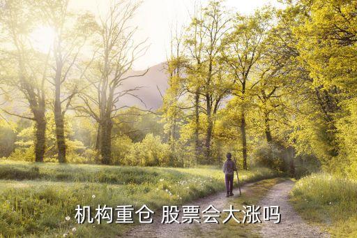 機構(gòu)重倉 股票會大漲嗎