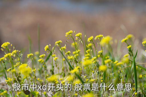 股市中xd開頭的 股票是什么意思