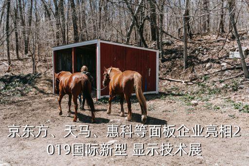 京東方、天馬、惠科等面板企業(yè)亮相2019國際新型 顯示技術(shù)展