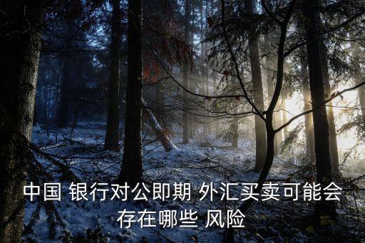 中國 銀行對公即期 外匯買賣可能會存在哪些 風(fēng)險(xiǎn)