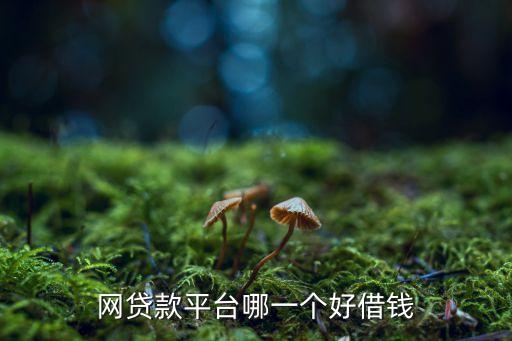 網(wǎng)貸款平臺哪一個(gè)好借錢