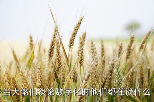 當(dāng)大佬們談?wù)摂?shù)字化時(shí)他們都在談什么