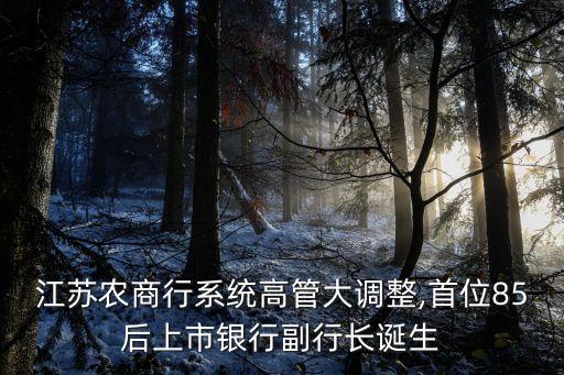 江蘇農(nóng)商行系統(tǒng)高管大調(diào)整,首位85后上市銀行副行長誕生