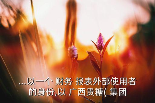 ...以一個 財(cái)務(wù) 報(bào)表外部使用者的身份,以 廣西貴糖( 集團(tuán)