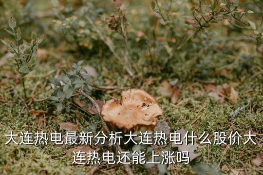 大連熱電最新分析大連熱電什么股價大連熱電還能上漲嗎