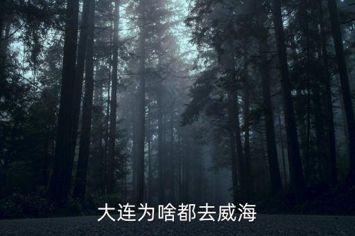 中國東北出?？诮ㄔO,俄羅斯能給中國東北出海口嗎