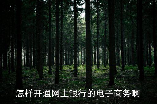 怎樣開(kāi)通網(wǎng)上銀行的電子商務(wù)啊