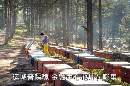 運(yùn)城晉陜豫 金融中心地址在哪里