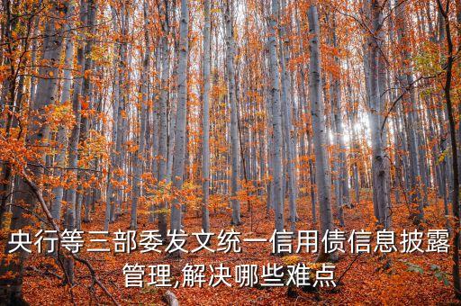 中國(guó)人民銀行直接融資的案例