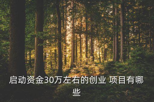30萬上下投資什么項目,我有30萬應(yīng)該投資什么