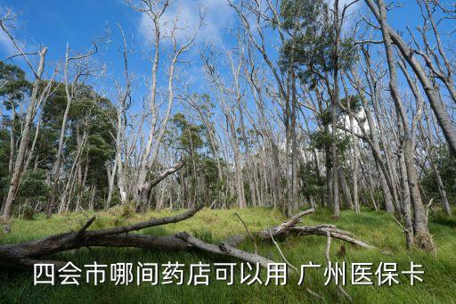 四會市哪間藥店可以用 廣州醫(yī)?？? class=