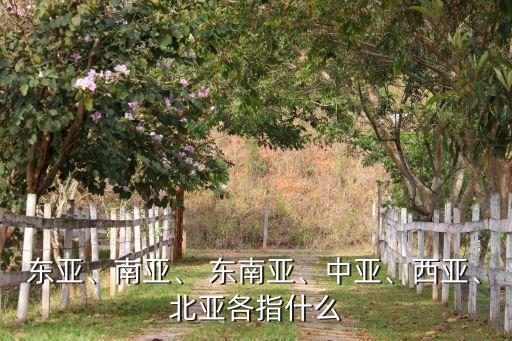 東亞、南亞、 東南亞、中亞、西亞、北亞各指什么