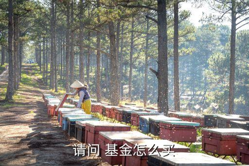 請(qǐng)問 基金怎么買