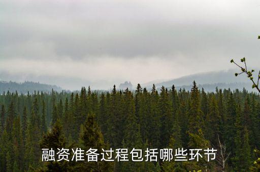 融資準(zhǔn)備過(guò)程包括哪些環(huán)節(jié)