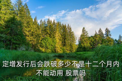 定增發(fā)行后會跌破多少不是十二個月內不能動用 股票嗎