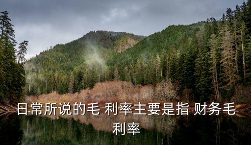 日常所說的毛 利率主要是指 財務毛 利率