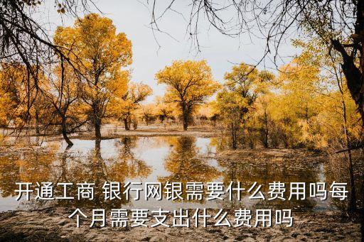 開通工商 銀行網(wǎng)銀需要什么費(fèi)用嗎每個(gè)月需要支出什么費(fèi)用嗎