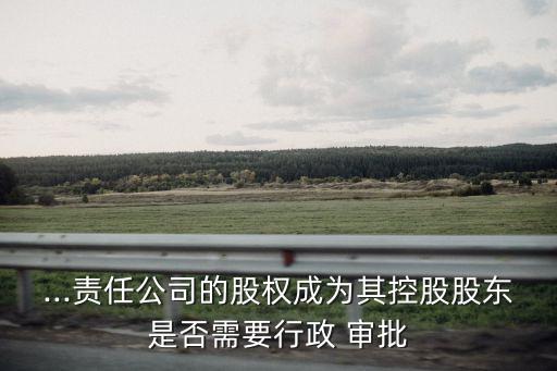 ...責任公司的股權成為其控股股東是否需要行政 審批