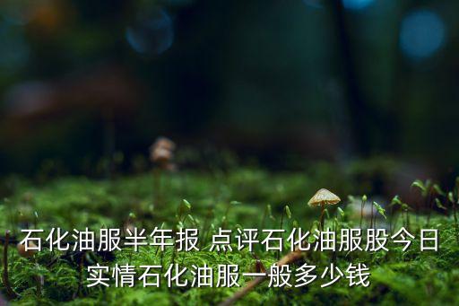 石化油服半年報(bào) 點(diǎn)評(píng)石化油服股今日實(shí)情石化油服一般多少錢(qián)