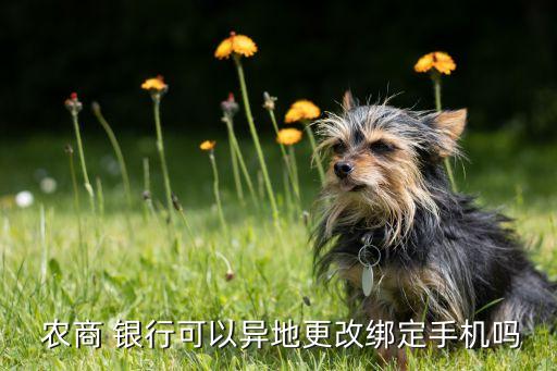 ?？谵r(nóng)商銀行網(wǎng)上銀行,中國農(nóng)商手機銀行網(wǎng)上銀行下載