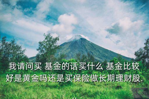 我請(qǐng)問買 基金的話買什么 基金比較好是黃金嗎還是買保險(xiǎn)做長期理財(cái)股...