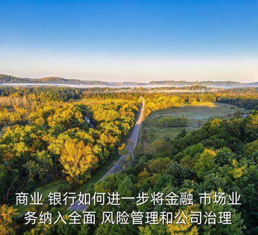 銀行市場風(fēng)險(xiǎn)措施,銀行的市場風(fēng)險(xiǎn)包括