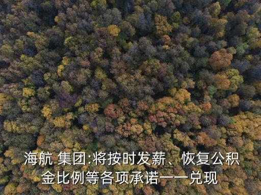  海航 集團(tuán):將按時發(fā)薪、恢復(fù)公積金比例等各項(xiàng)承諾一一兌現(xiàn)