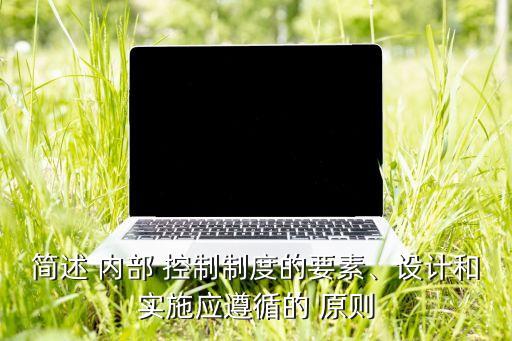 簡述 內(nèi)部 控制制度的要素、設(shè)計(jì)和實(shí)施應(yīng)遵循的 原則