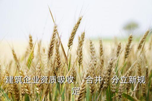 建筑企業(yè)資質(zhì)吸收、 合并、分立新規(guī)定
