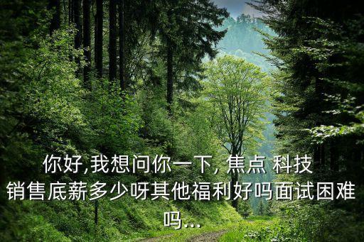 你好,我想問你一下, 焦點 科技 銷售底薪多少呀其他福利好嗎面試困難嗎...