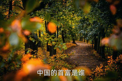中國(guó)的首富是誰