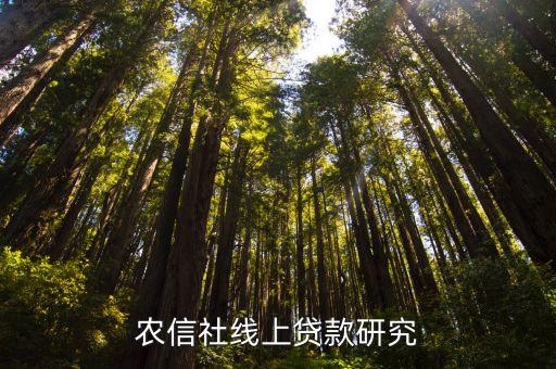 上海農商金融e云