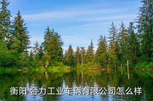 衡陽(yáng) 合力工業(yè)車(chē)輛有限公司怎么樣
