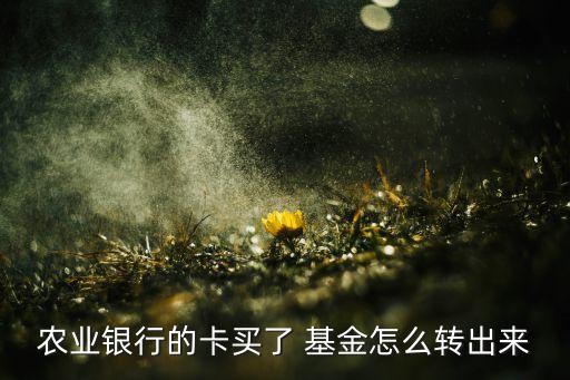 農(nóng)業(yè)銀行的卡買(mǎi)了 基金怎么轉(zhuǎn)出來(lái)