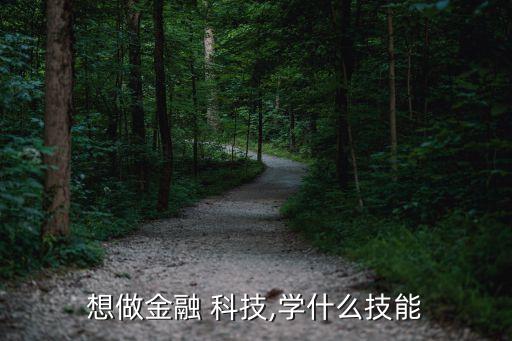 想做金融 科技,學什么技能
