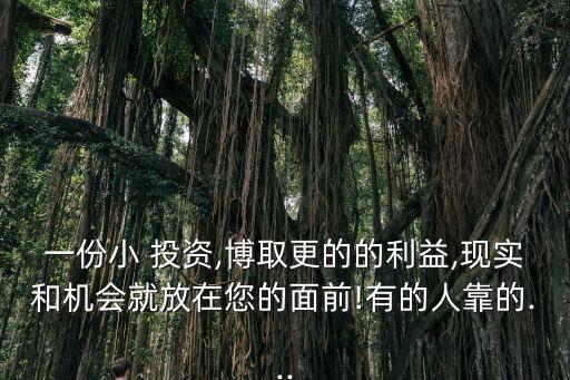 一份小 投資,博取更的的利益,現(xiàn)實(shí)和機(jī)會就放在您的面前!有的人靠的...