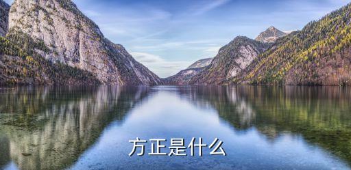 青島北大方正集團(tuán),北大方正人壽保險青島分公司