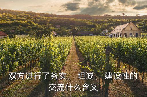 雙方進(jìn)行了務(wù)實(shí)、 坦誠(chéng)、 建設(shè)性的交流什么含義