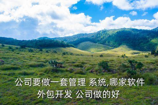  公司要做一套管理 系統(tǒng),哪家軟件外包開(kāi)發(fā) 公司做的好