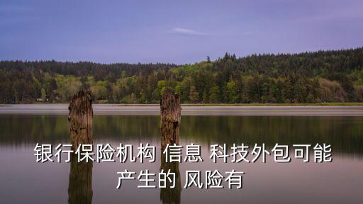  銀行保險機構(gòu) 信息 科技外包可能產(chǎn)生的 風(fēng)險有
