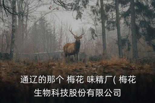  通遼的那個(gè) 梅花 味精廠( 梅花生物科技股份有限公司