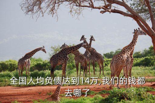 全國(guó)人均負(fù)債達(dá)到14萬,我們的錢都去哪了