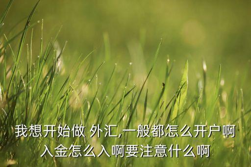 我想開(kāi)始做 外匯,一般都怎么開(kāi)戶啊入金怎么入啊要注意什么啊