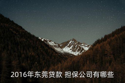 2016年?yáng)|莞貸款 擔(dān)保公司有哪些