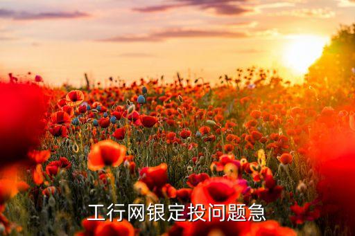 工行網銀定投問題急
